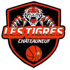 CHATEAUNEUF BASKETBALL